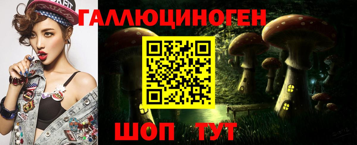 Псилоцибиновые грибы Psilocybine cubensis Павлово