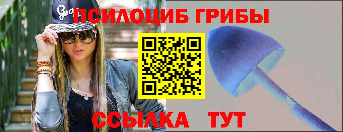 Галлюциногенные грибы Cubensis  Псилоцибиновые грибы Cubensis  Павлово  Вход с VPN 